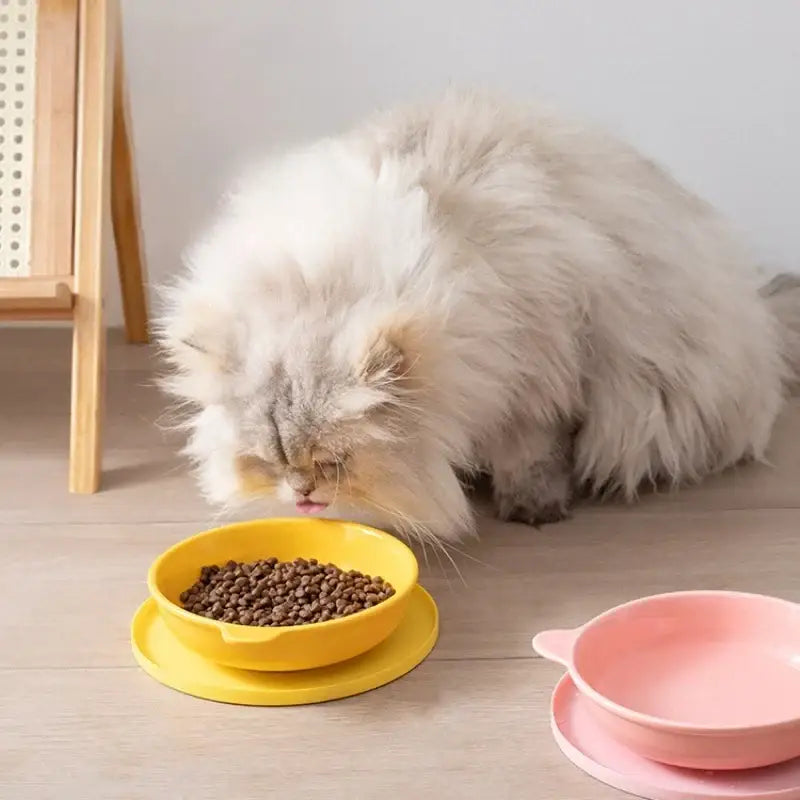 Tapis Repas Chien Étanche Antidérapant