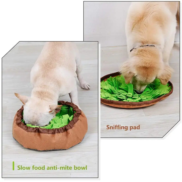 Tapis Snuffle Chien interactif – Jeu d’occupation