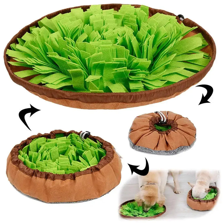 Tapis Snuffle Chien interactif – Jeu d’occupation