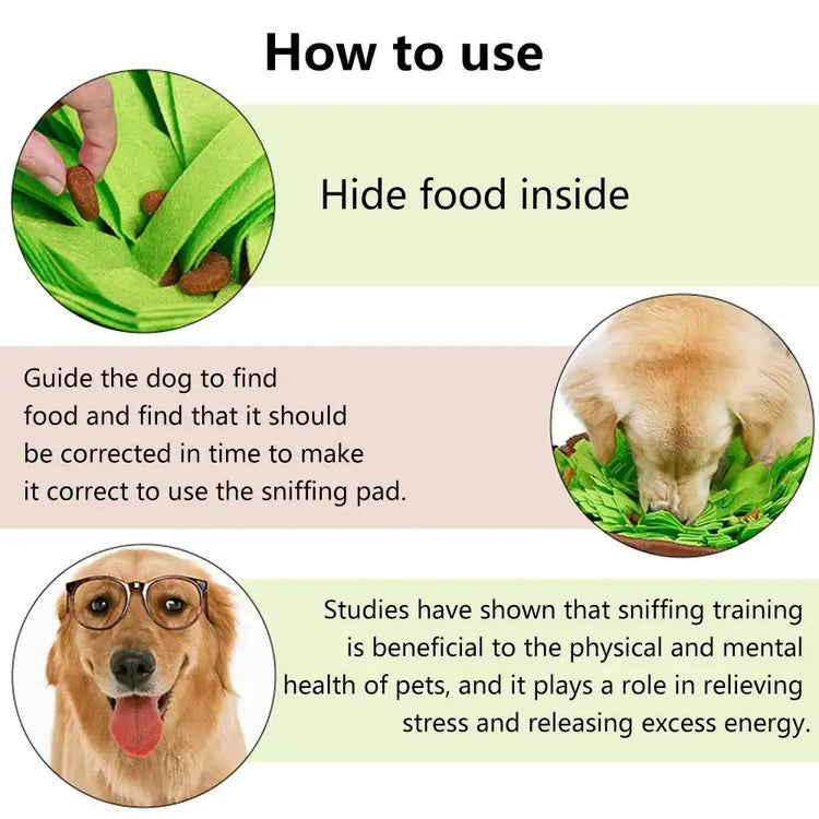 Tapis Snuffle Chien interactif – Jeu d’occupation