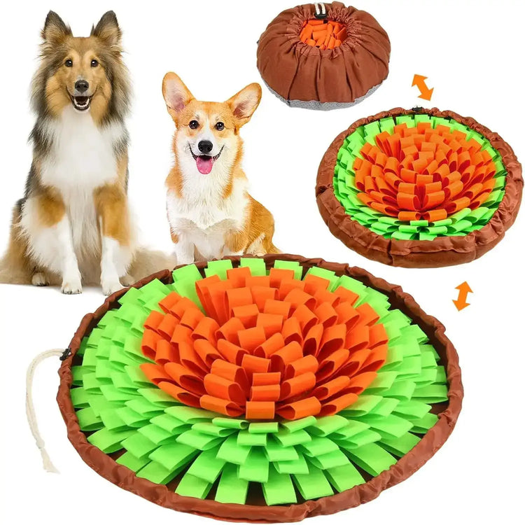 Tapis Snuffle Chien interactif - Orange and Green