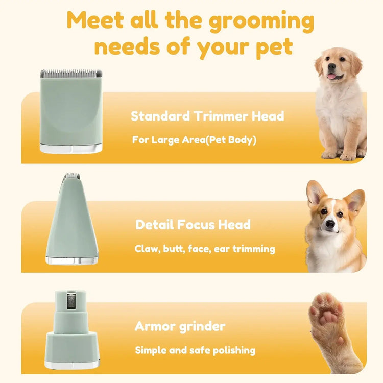 Tondeuse professionnelle pour chiens