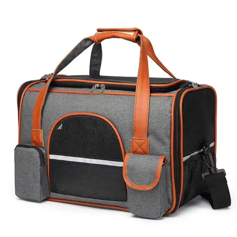 Transport pour chien