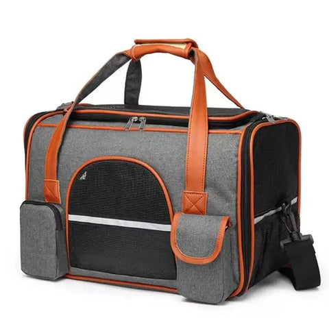 Transport pour chien