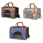Transport pour chien