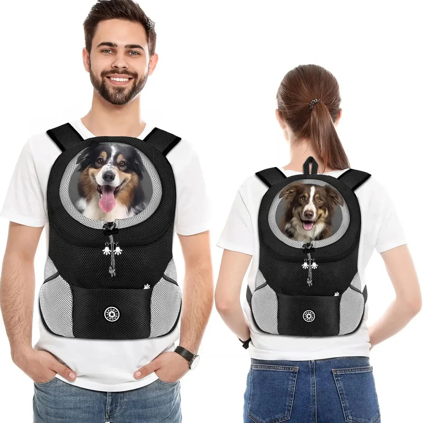 Transporteur extérieur pour chien