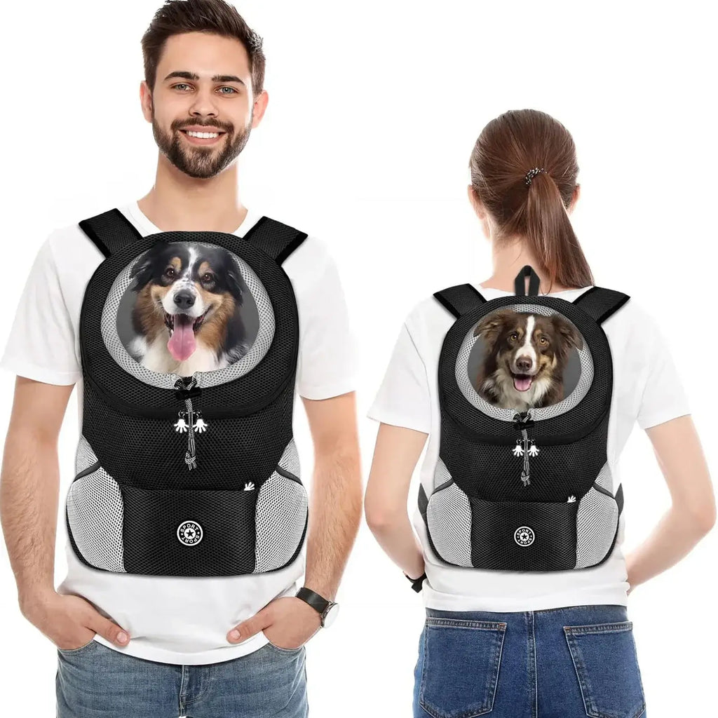 Transporteur extérieur pour chien