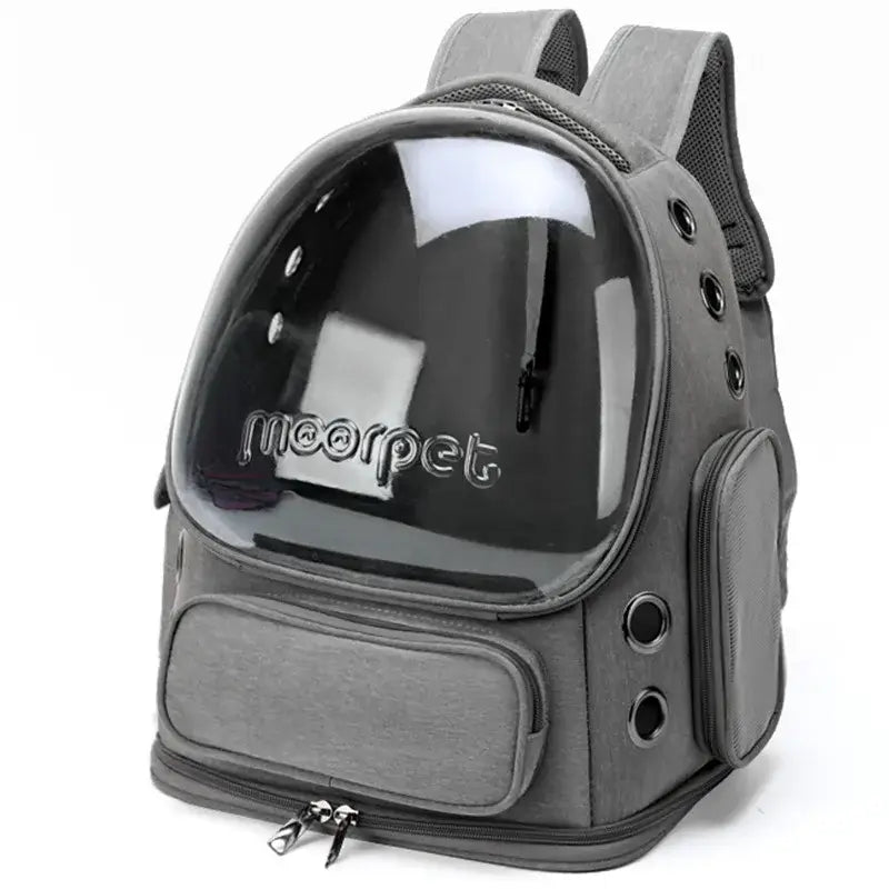 Transporteur pliable transparent pour animaux - GRAY / XXL