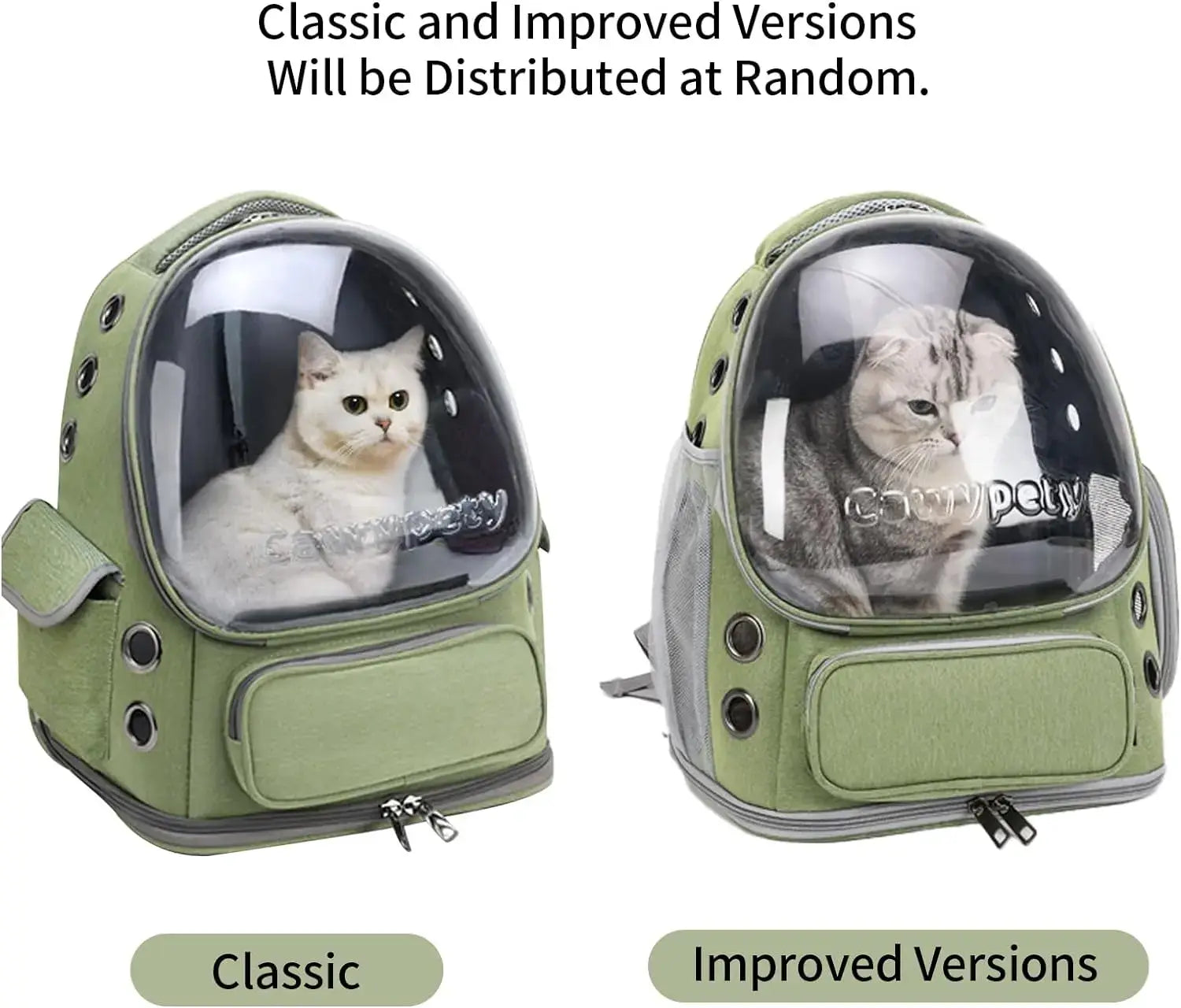 Transporteur pliable transparent pour animaux