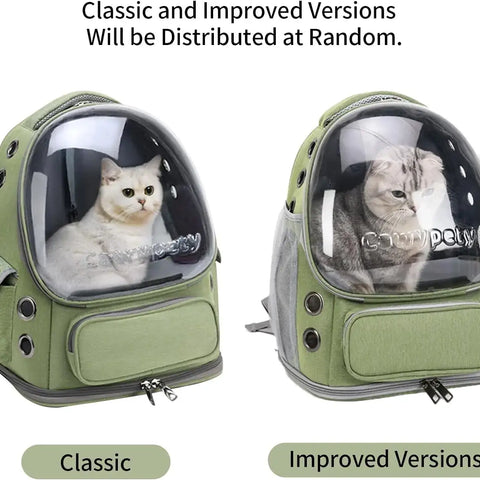Transporteur pliable transparent pour animaux