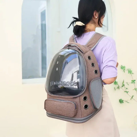 Transporteur pliable transparent pour animaux