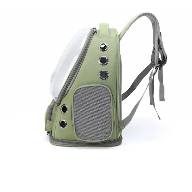 Transporteur pliable transparent pour animaux