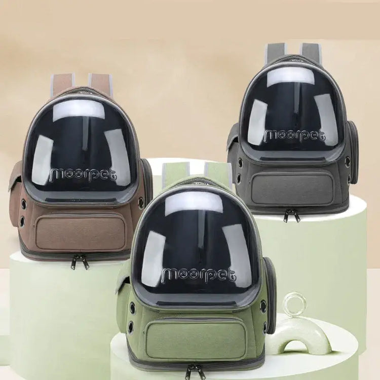Transporteur pliable transparent pour animaux