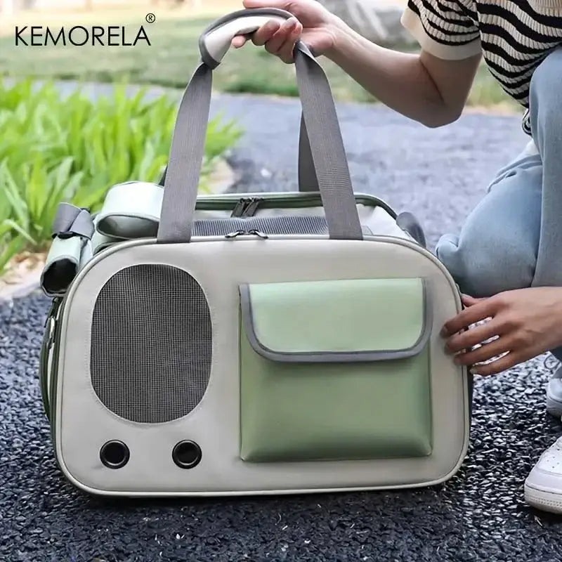 Transporteur portable pour animaux