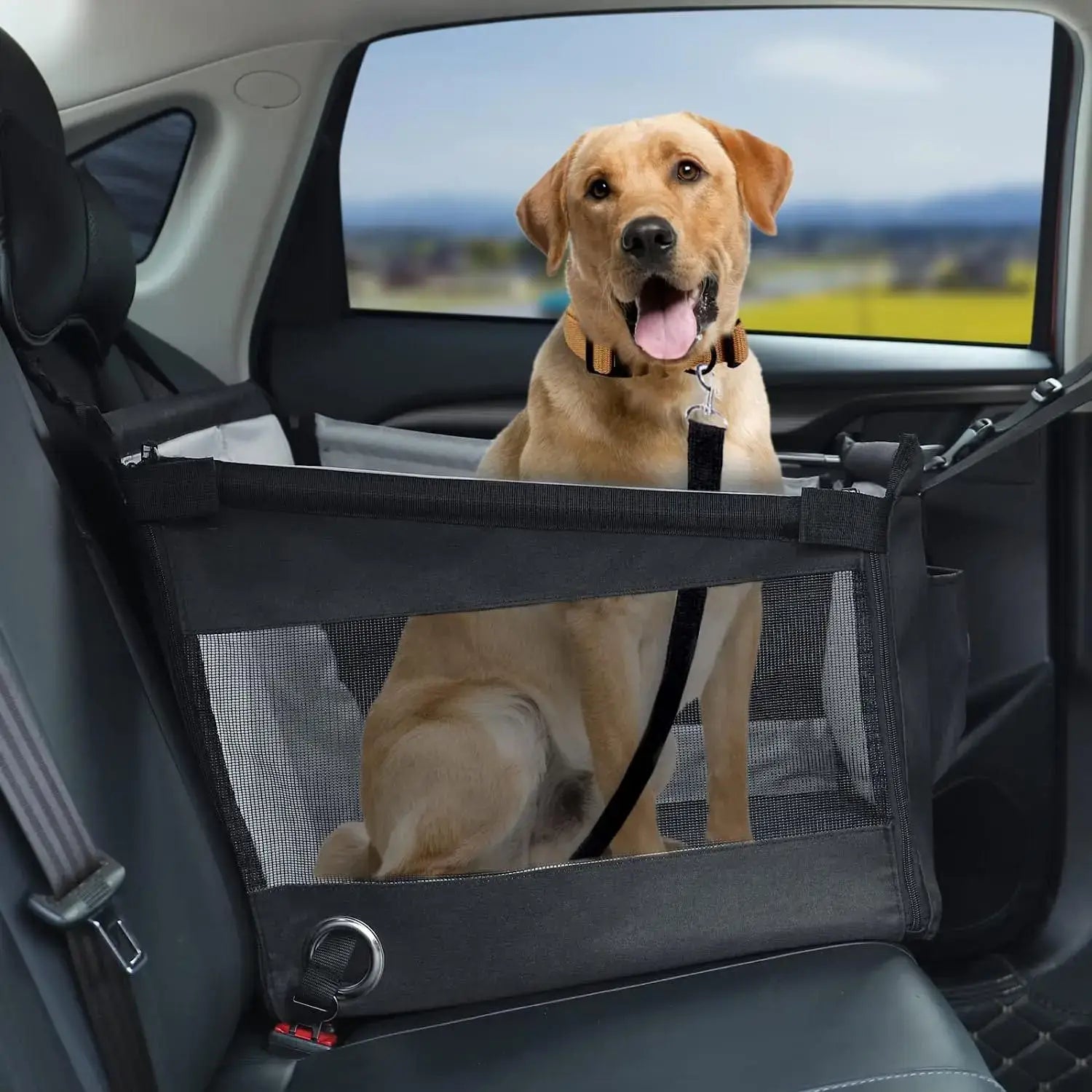 Transporteur portable pour chien de voiture - Black