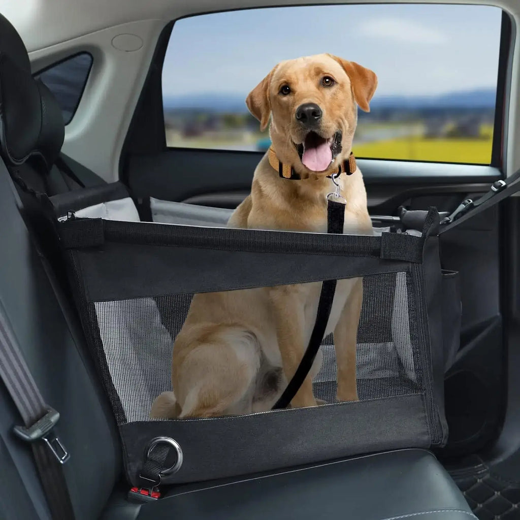 Transporteur portable pour chien de voiture - Black
