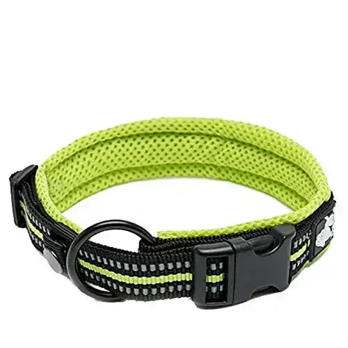 Truelove Pet Dog Collar - neon yellow / M / United States
