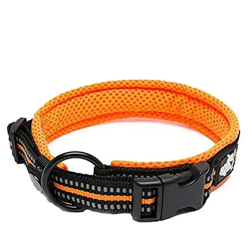 Truelove Pet Dog Collar - orange / XS / spain