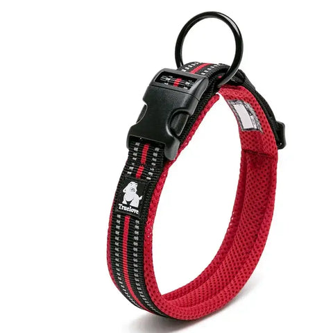 Collier pour Chien Truelove – Réfléchissant & Confort