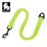 Truelove Short Bungee Dog Nylon Leash Rope For dog collar Extension Retractable For All Breed Training Running walking