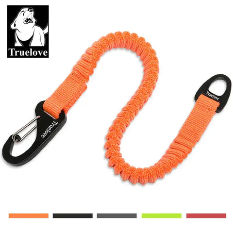 Truelove Short Bungee Dog Nylon Leash Rope For dog collar Extension Retractable For All Breed Training Running walking
