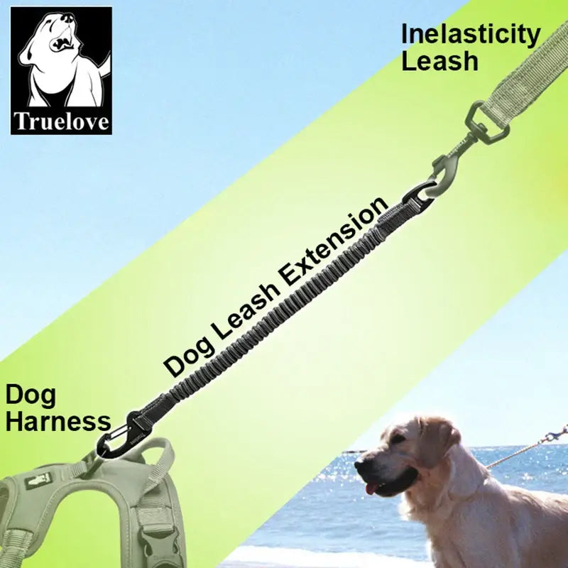 Truelove Short Bungee Dog Nylon Leash Rope For dog collar Extension Retractable For All Breed Training Running walking