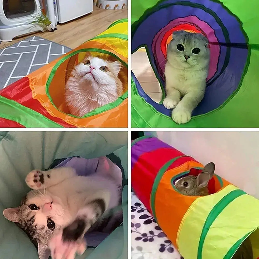 Tunnel pour chat