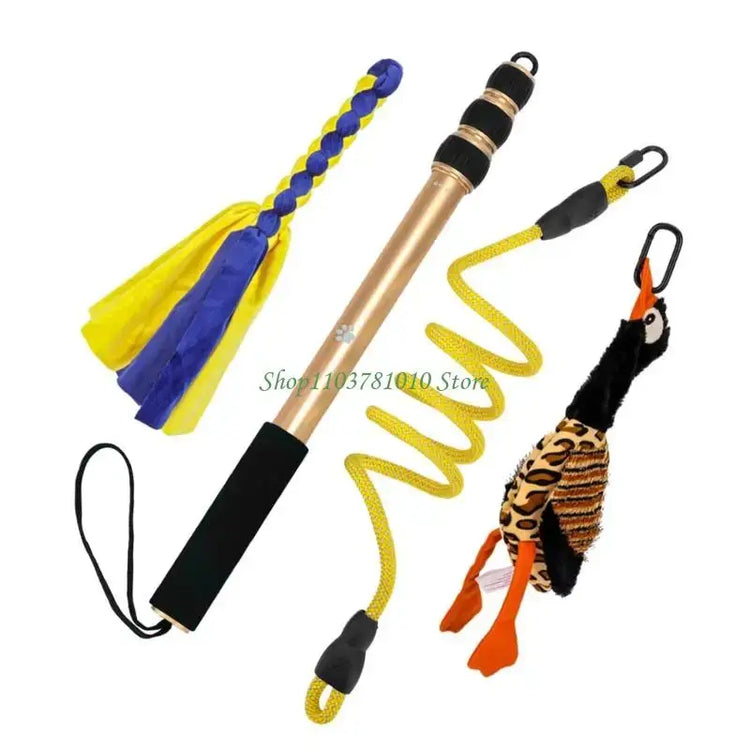 U55D Fun Pet Teases Multiple Accessories For Endlessly Dog Entertainment - CN