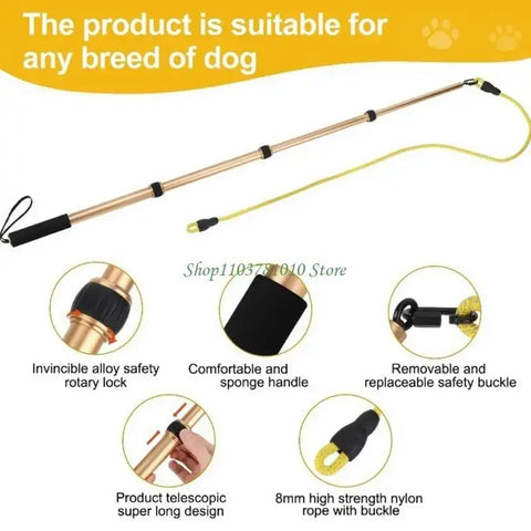 U55D Fun Pet Teases Multiple Accessories For Endlessly Dog Entertainment - CN