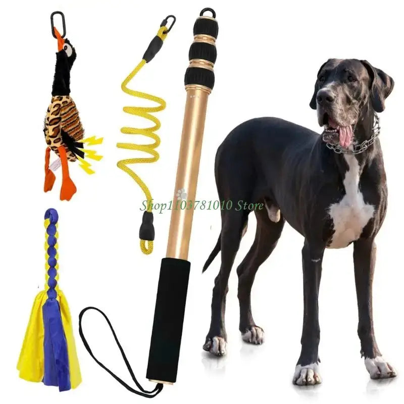 U55D Fun Pet Teases Multiple Accessories For Endlessly Dog Entertainment - CN