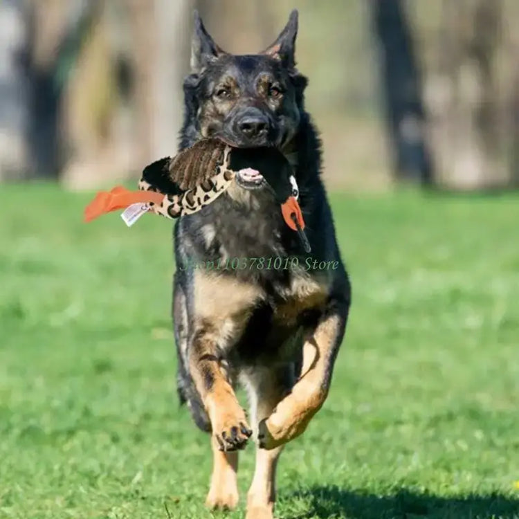 U55D Fun Pet Teases Multiple Accessories For Endlessly Dog Entertainment - CN