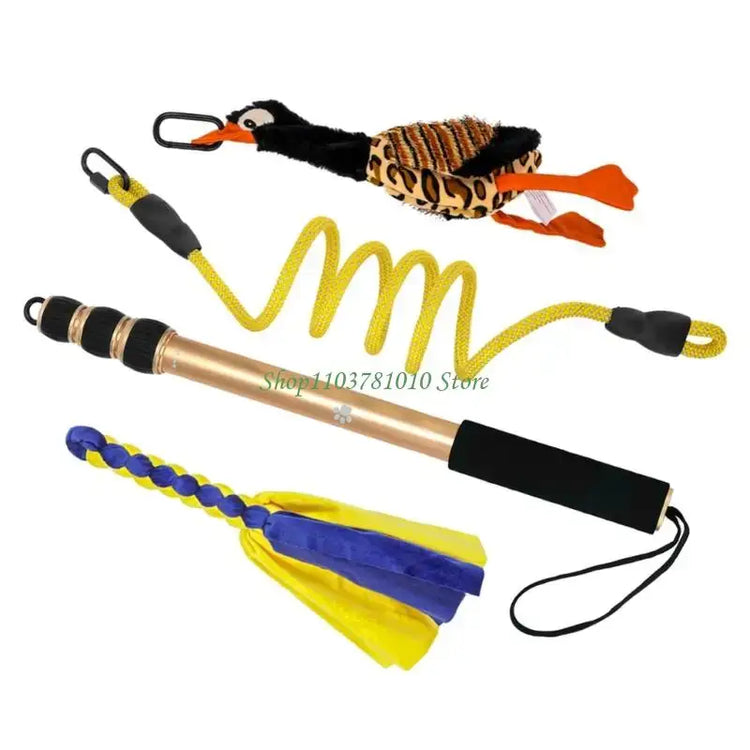 U55D Fun Pet Teases Multiple Accessories For Endlessly Dog Entertainment - CN