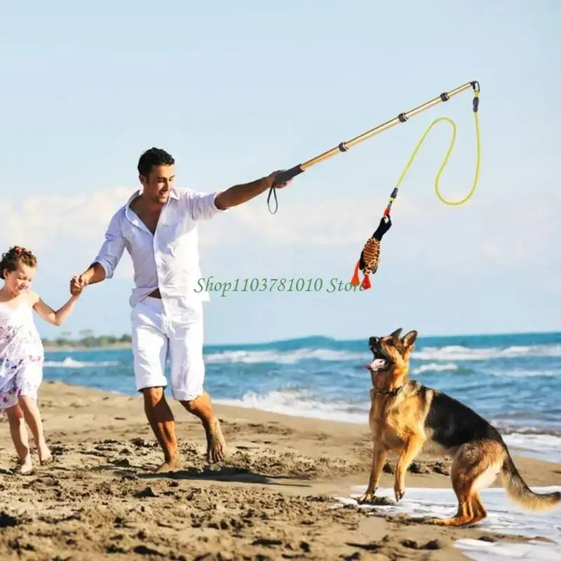 U55D Fun Pet Teases Multiple Accessories For Endlessly Dog Entertainment - CN