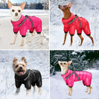 Veste chaude pour chien