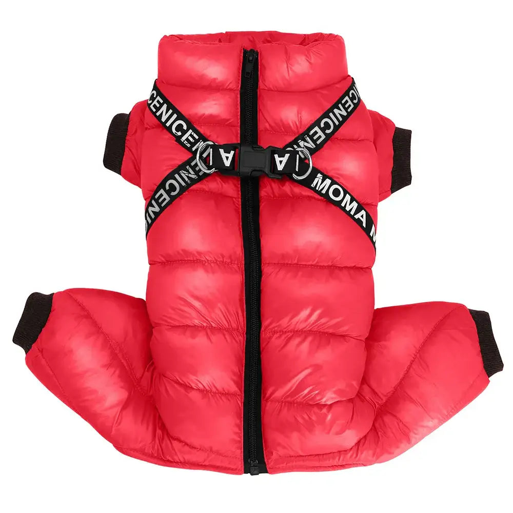 Veste chaude pour chien