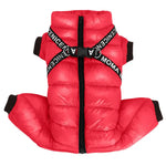 Veste chaude pour chien