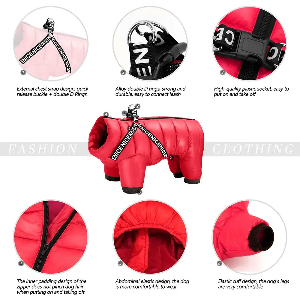 Veste chaude pour chien