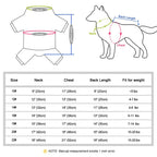 Veste chaude pour chien