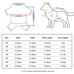 Veste chaude pour chien