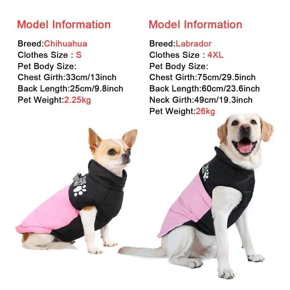 veste coupe-vent pour chien