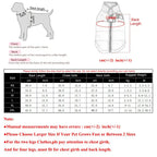 veste coupe-vent pour chien