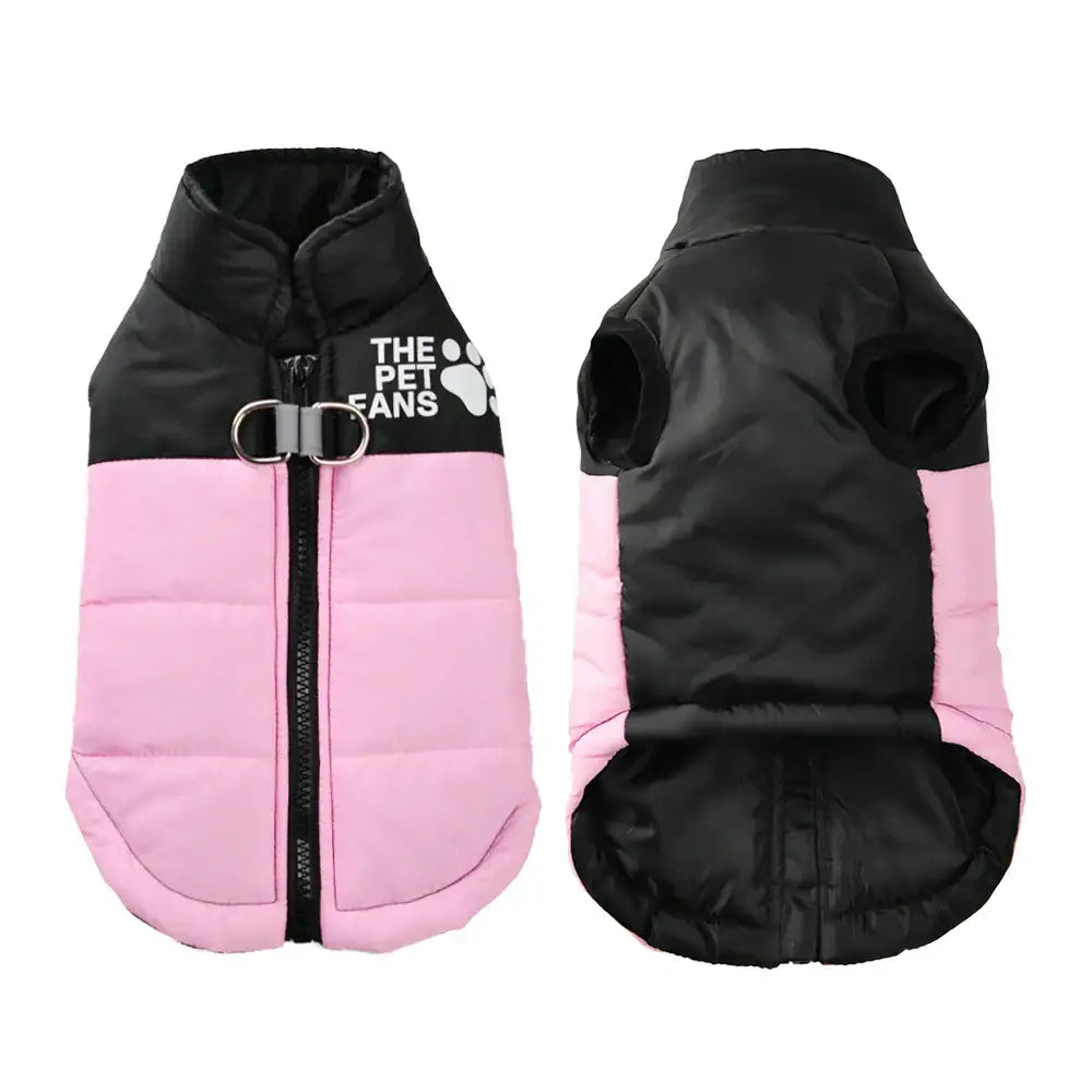 veste coupe-vent pour chien