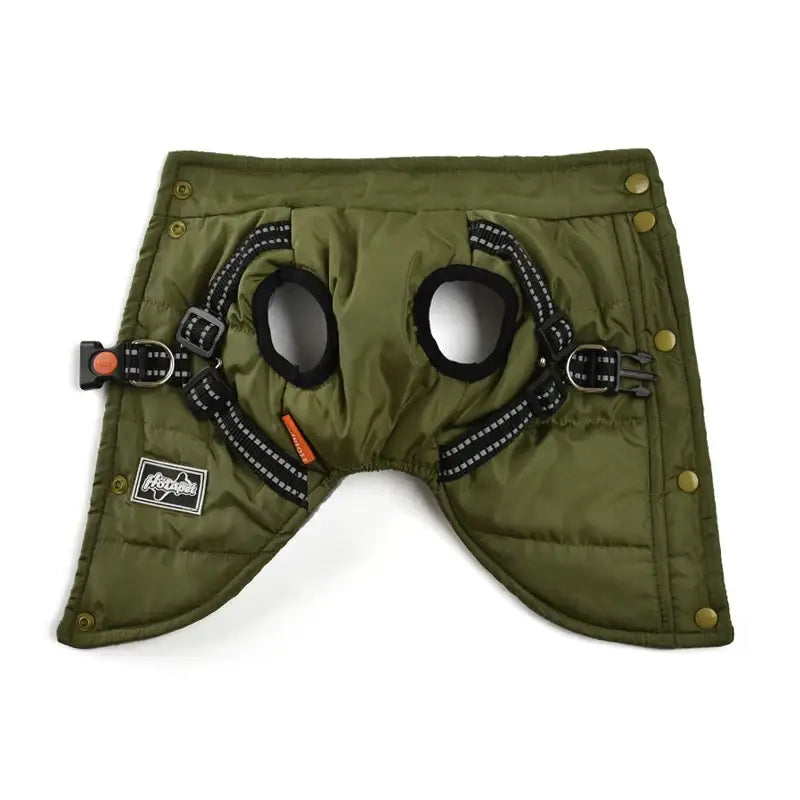 Veste coupe-vent pour chien