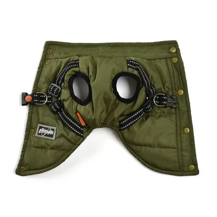 Veste coupe-vent pour chien