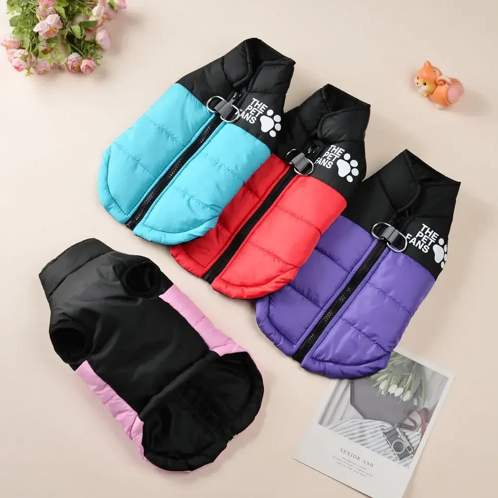veste coupe-vent pour chien