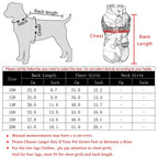Veste coupe-vent pour chien