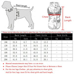 Veste coupe-vent pour chien