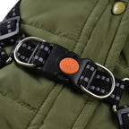 Veste coupe-vent pour chien
