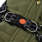 Veste coupe-vent pour chien