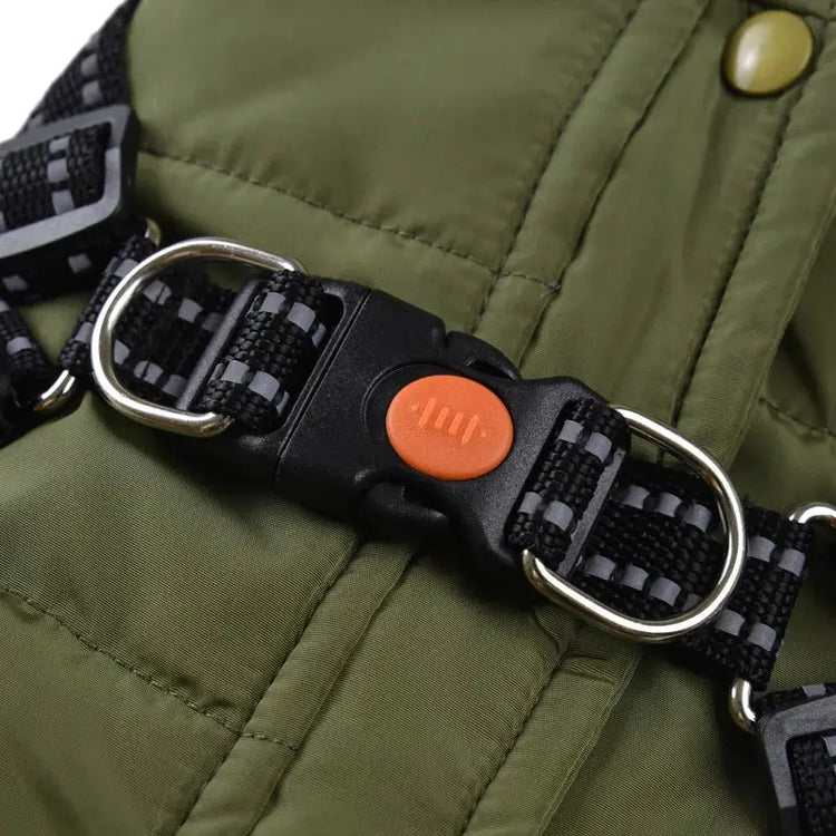 Veste coupe-vent pour chien